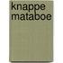 Knappe Mataboe