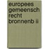 Europees gemeensch recht bronnenb ii