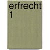 Erfrecht 1 door Dillemans