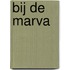 Bij de marva