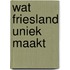 Wat friesland uniek maakt