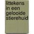 Littekens in een gelooide stierehuid