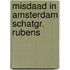 Misdaad in amsterdam schatgr. rubens