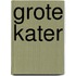 Grote kater
