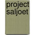 Project saljoet