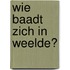 Wie baadt zich in weelde?