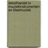 Detailhandel in muziekinstrumenten en bladmuziek