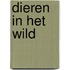 Dieren in het wild