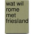 Wat wil rome met friesland