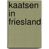 Kaatsen in friesland