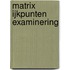 Matrix ijkpunten examinering