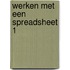 Werken met een spreadsheet 1