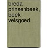 Breda Prinsenbeek, Beek Velsgoed door J. De Winter