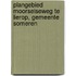 Plangebied Moorselseweg te Lierop, Gemeente Someren