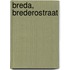 Breda, Brederostraat