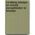 Randweg Wesepe en enkele plangebieden te Wesepe