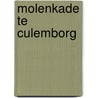 Molenkade te Culemborg door E.H. Boshoven
