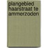 Plangebied Haarstraat te Ammerzoden