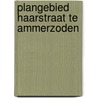 Plangebied Haarstraat te Ammerzoden by M.J. van Putten