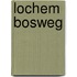 Lochem Bosweg