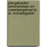Plangebieden Seminarielaan en Ruwenbergstraat te St. Michielsgestel by M.J. van Putten