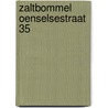 Zaltbommel Oenselsestraat 35 door T.A. Spitzers