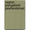 Veghel, plangebied Peellandstraat door W. Soepboer