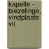 Kapelle - Biezelinge, Vindplaats VII