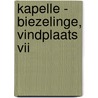 Kapelle - Biezelinge, Vindplaats VII door R.G. van Mousch