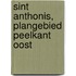 Sint Anthonis, plangebied Peelkant Oost