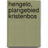 Hengelo, plangebied Kristenbos