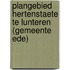 Plangebied Hertenstaete te Lunteren (gemeente Ede)