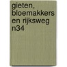 Gieten, Bloemakkers en Rijksweg N34 door T. Nales