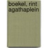Boekel, Rint Agathaplein