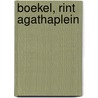 Boekel, Rint Agathaplein by R.M. Jayasena