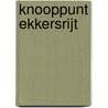 Knooppunt Ekkersrijt door E.H. Boshoven