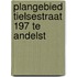 Plangebied Tielsestraat 197 te Andelst