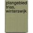 Plangebied Trias, Winterswijk