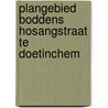 Plangebied Boddens Hosangstraat te Doetinchem by E.A. Schorn