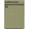 Zaltbommel, Gamerschestraat 58 door S.R. Masselink