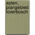Asten, Plangebied Loverbosch