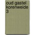 Oud Gastel Korenweide 3
