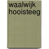 Waalwijk Hooisteeg door R.A. Hulst