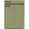 Dieren, Zutphensestraatweg 40-42 door T. Nales
