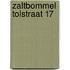 Zaltbommel Tolstraat 17
