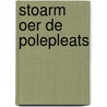 Stoarm oer de polepleats door Derkwillem Visser
