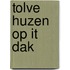 Tolve huzen op it dak