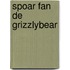 Spoar fan de grizzlybear