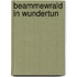 Beammewrald in wundertun