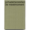 Schadeherstellen 3e meetmoment by W. ten Haaf